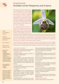Griechenland Orchideen auf der Peloponnes und im Epirus