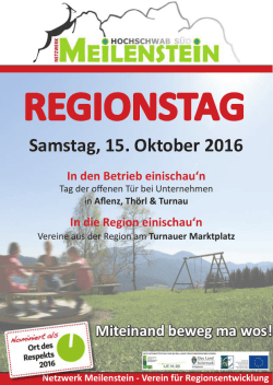 Programm zum - Netzwerk Meilenstein