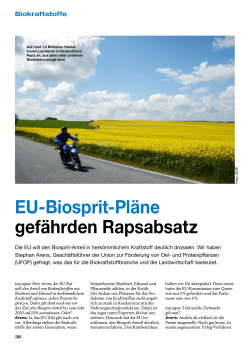 EU-Biosprit-Pläne gefährden Rapsabsatz