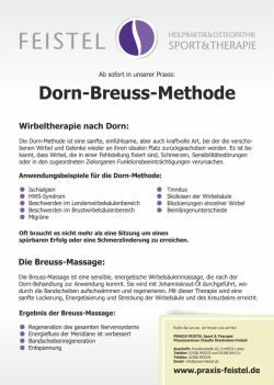 Dorn-Breuss-Informationsflyer als PDF