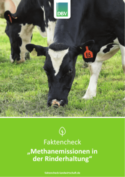 Faktencheck Methanemissionen in der Rinderhaltung