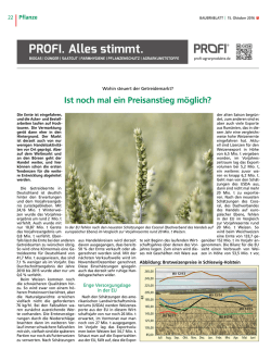 Ist noch mal ein Preisanstieg m&ouml;glich?