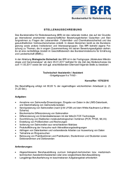 Technische Assistentin/Technischer Assistent in der Abteilung