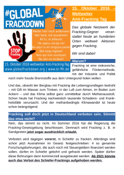 Flyer zum global frackdown - BI-FFH