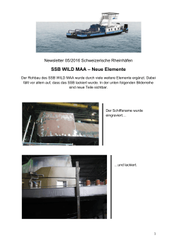 SSB WILD MAA – Neue Elemente