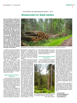 Biodiversität im Wald stärken