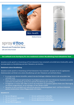 Flyer Sprayttoo in deutsch