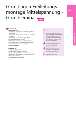 PDF, 53 KB - Thüringer Energie