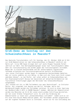 Gro&szlig;-Demo am Sonntag vor dem Schweinehochhaus