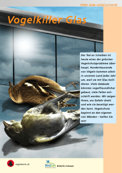 Vogelkiller Glas - BirdLife Schweiz