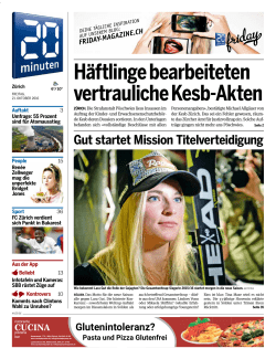 H&auml;ftlinge bearbeiteten vertrauliche Kesb-Akten