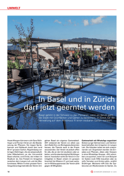 In Basel und in Z&uuml;rich darf jetzt geerntet werden