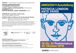 19 Uhr 30 Performance 25. Oktober 2016 AMIGOS#11 Ausstellung