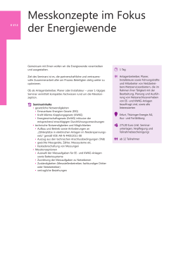 PDF, 48 KB - Thüringer Energie