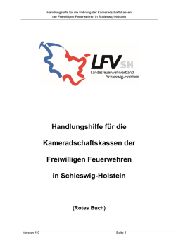 Handlungshilfe Kameradschaftskassen Version 1_0