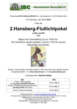 2.Hansberg-Flutlichtpokal - Internationaler Boxer Club eV