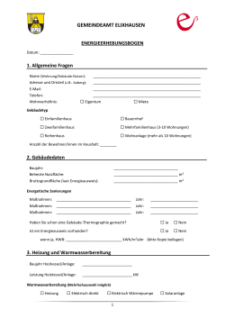 Fragebogen als pdf-Datei