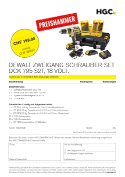 DeWalt Preishammer - Zweigang-Schrauber-Set