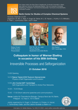 Irreversible Processes and Selforganization