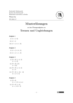 Musterl&ouml;sungen - Institut f&uuml;r Mathematik