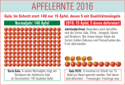 apfelernte 2016 - top agrar Österreich
