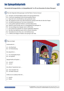Im Spiegellabyrinth