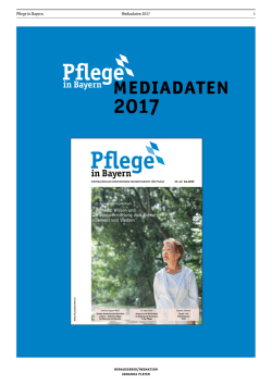 Mediadaten als PDF