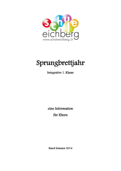 Broschüre Sprungbrett - Primarschule Eichberg