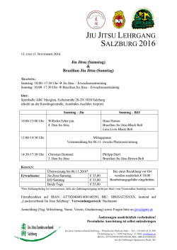 jiu jitsu lehrgang salzburg 2016 - Jiu Jitsu und Selbstverteidigung