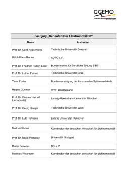 Fachjury Schaufenster Elektromobilität