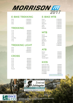 e-bike trekking trekking trekking light cross e