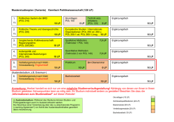 Musterstudienplan (Variante) Kernfach Politikwissenschaft (120 LP