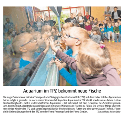 AquariumimTPZ be0ommtneueFische - Schiller