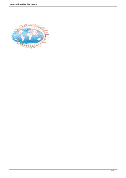 Internationales Netzwerk