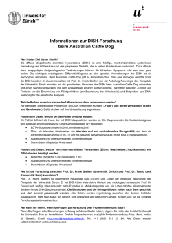 Informationen zur DISH-Forschung beim