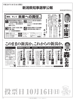新潟県知事選挙公報