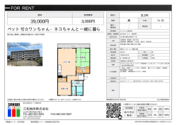 資料PDF - 三和地所