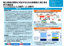 電力系統の制約に対応するための設備導入等に係る利子補給金（PDF