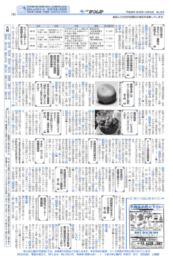 凡 例