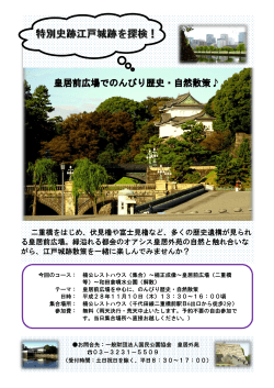 皇居前広場でのんびり歴史・自然散策