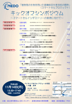 プログラム詳細 - 新エネルギー・産業技術総合開発機構