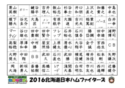 ﾏｰ ﾃｨﾝ 2016北海道日本ハムファイターズ