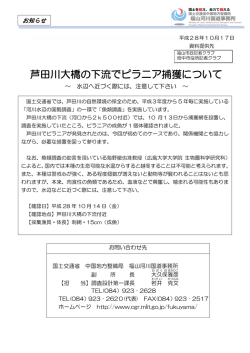 芦田川大橋の下流でピラニア捕獲について - 中国地方整備局