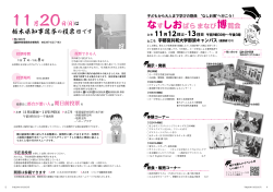 栃木県知事選挙（Adobe PDFファイル 1.3MB）