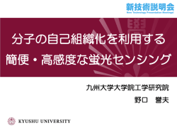 分子の自己組織化を利用する 簡便・高感度な蛍光