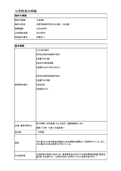 公売財産の明細