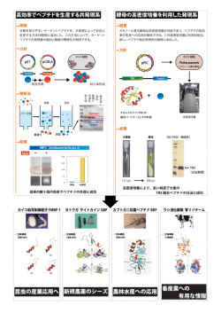 生研報告書ver.2OL.ai