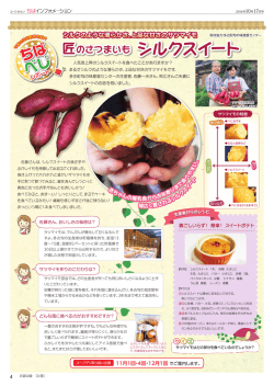匠のさつまいも シルクスイート