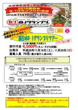 出発日 平成28年11月19日