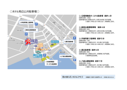 ホテル周辺公共駐車場 - 南の美ら花ホテルミヤヒラ
